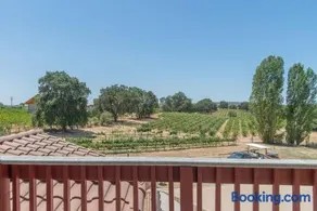 Elegant Suite with Stunning Vineyard Views - Image 4