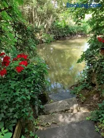 gîte " jardin peyrona" visite zoo beauval et châteaux de Loire - Image 2