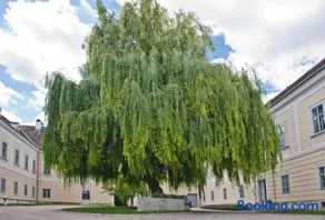 OBENauf in Unternalb - Image 3