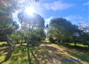 Il Lentischio del Sinis - Image 4