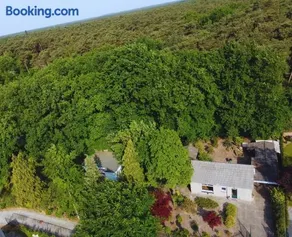 Cozy Forest Cabin, Fenced Garden, Peace & Privacy - Image 1