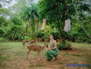 Deer Inn - Yala - Image 1
