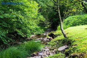 The Mountain Brook Inn - Image 2