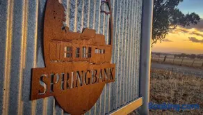 Victorian Farm stay Springbank - Image 1