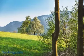 Auszeit beim Oswald - Image 1
