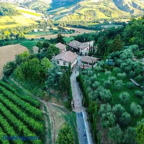 La Buca - Image 1