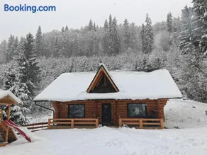 Wild tree house - Image 2