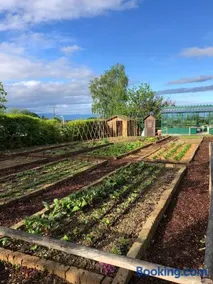 Coltivare AgriRelais - Image 3
