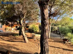Il Lentischio del Sinis - Image 2