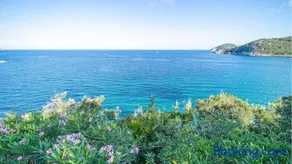 Villa Il Tramonto Bordo Costa - Goelba - Image 3