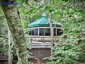 Escape to Tree House Island Life - Image 1