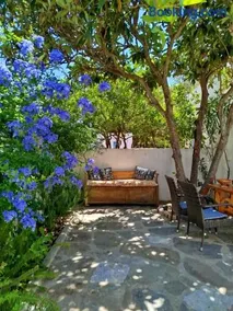 Almond trees house - Image 2