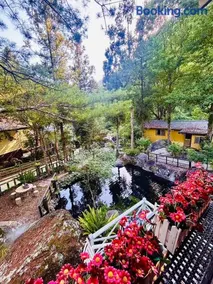 山蘇的故鄉-森林溪秘境桃園市民宿130號 - Image 1