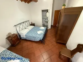 il podere del mugello - Image 3
