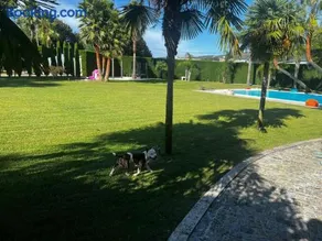Quinta das Palmeiras - Image 4