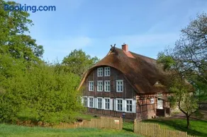Deichkind - Reetdachhaus direkt am Elbdeich - Image 3