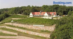 Pension Bella Vista - Winzerhof Golk - Image 2