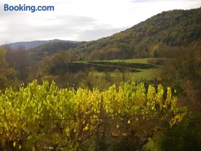 Mas Franch - Image 2