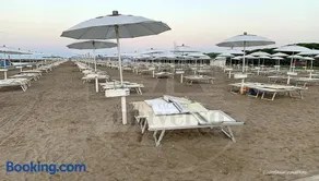 Sotto Il Pino - Image 2