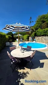 Orchidea - Image 1