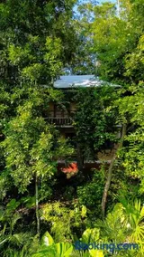 The Cobb House - El Remate, Flores Petén - Image 3