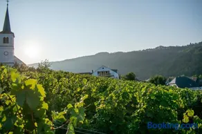 Weingut Johanneshof - Image 1