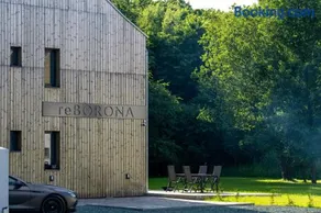reBORONA - Image 1