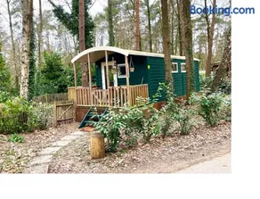 The Butterfly - Forest - Dog - Maastricht - Image 1