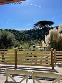 Tenuta calidarius - Image 2