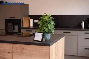 Boutique Studio im Herzen TBBs - Image 2