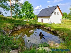 Klid na kraji lesa v České Kanadě - celý dům - Image 2