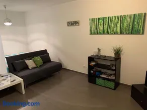 C&C Eco Studio - Image 5
