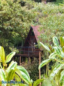 Chalets en Santa Elena en medio del Bosque - Image 4