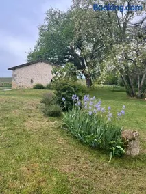 La Suite au coeur des vignes - Image 2