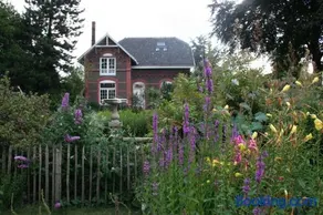 Villa Wambach - Image 3