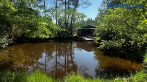 L'Aquarium de Proust sous les arbres - Image 4