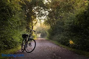 Spacious rural romance and peace Near Porvoo - Image 2