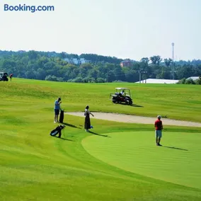 Equides club - Image 3