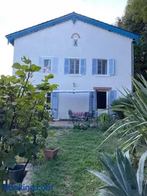 Les Agapanthes - Image 2