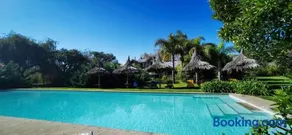 La Casa de los Limoneros - Image 3