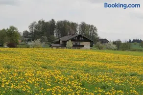 Kurparkpension Stephan - Image 3
