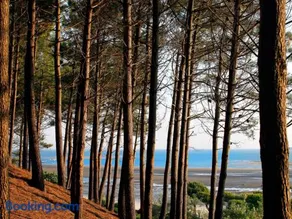 Arcachon - Superbe T3 avec terrasse, piscine et parking sécurisé - 6 personnes - FR-1-420-33 - Image 4