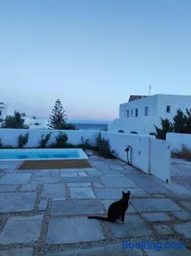 Tzitziki - Image 2