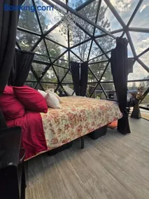 Oceanic geodome - Image 3