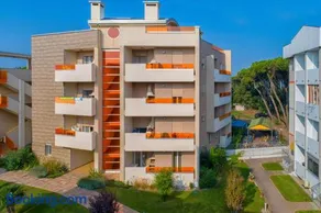 Le Primule - Image 1