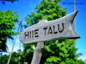 Hiie Talu - Image 3