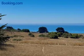 Seas the Day - Image 3