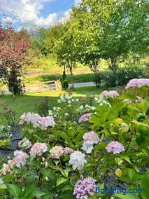 Casa delle Arti Fattoria dei fiori - Image 2