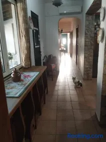 Casa do Limoeiro - Casa - Image 2