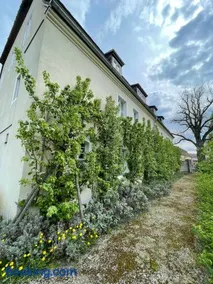 Gärtnereihaus in Fürstlich Drehna - Spreewald - Image 1
